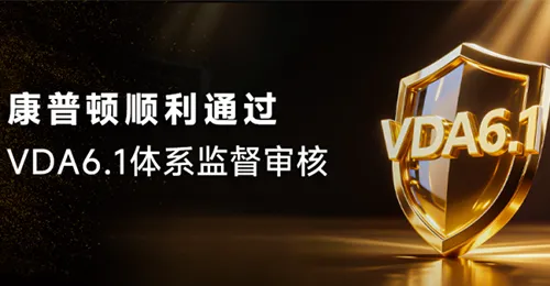 利发国际顺利通过 VDA6.1 体系监督审核！
